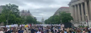 Crowd at National Nurses March in Washington DC